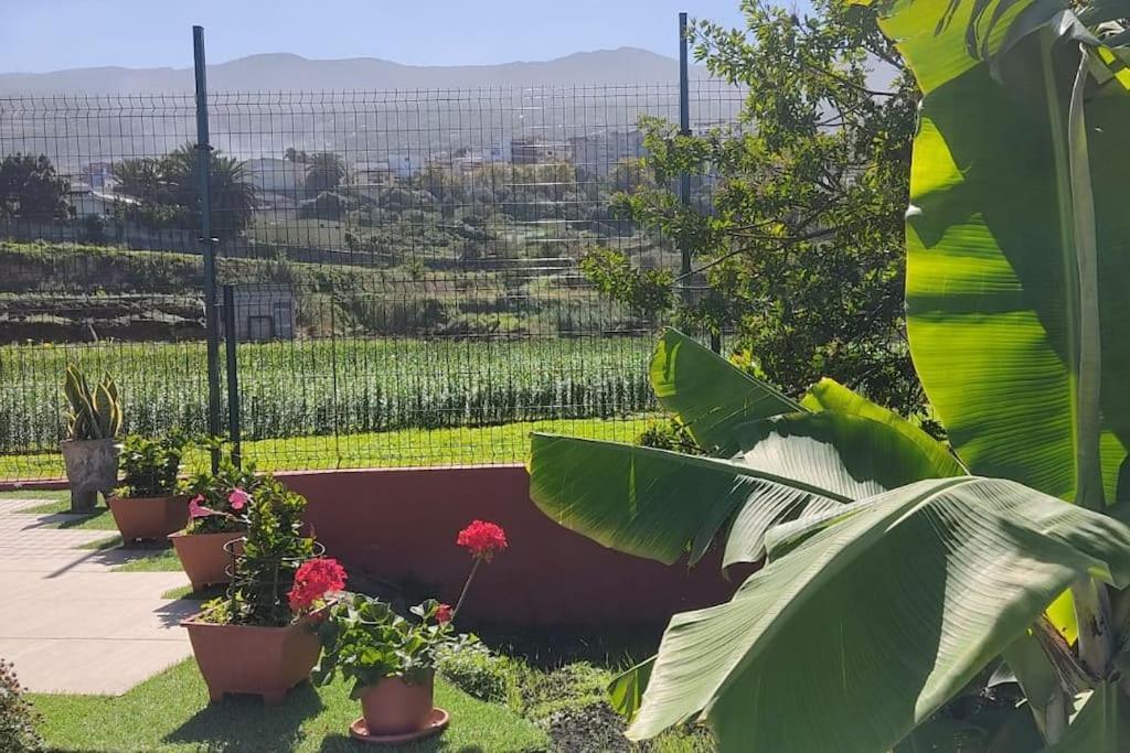Casa Mamatina, En Los Realejos Exterior foto